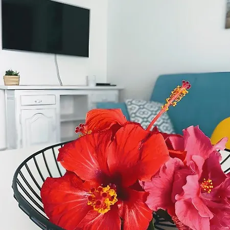 Red Hibiscus Irent Fuerteventura Apartment *