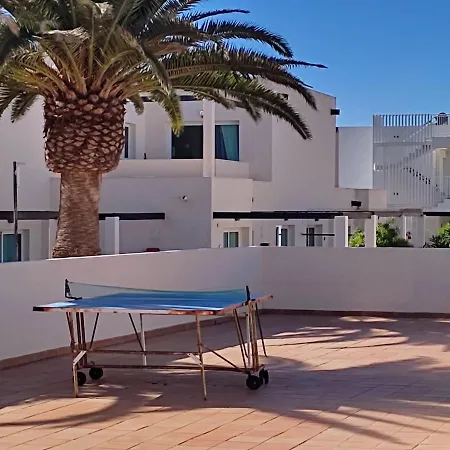 Red Hibiscus Irent Fuerteventura