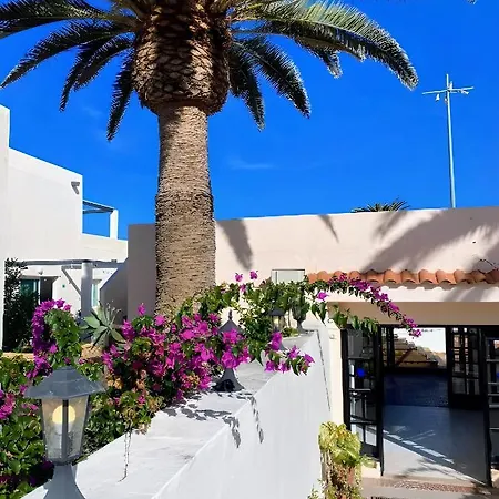Red Hibiscus Irent Fuerteventura * Corralejo