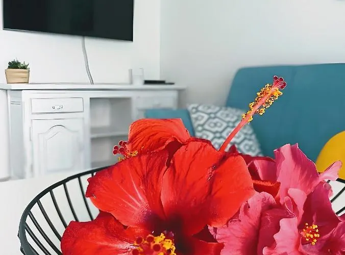 Red Hibiscus Irent Fuerteventura Apartment *